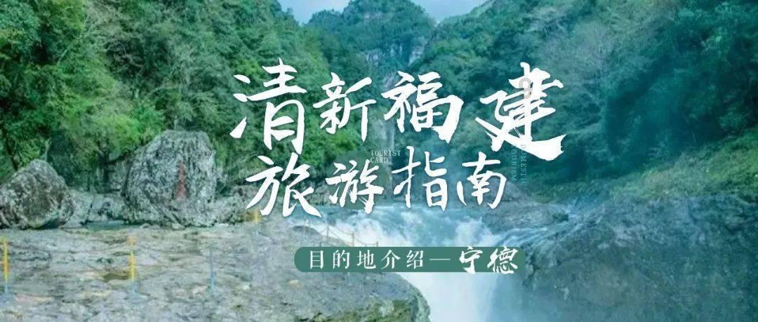 救援老画家